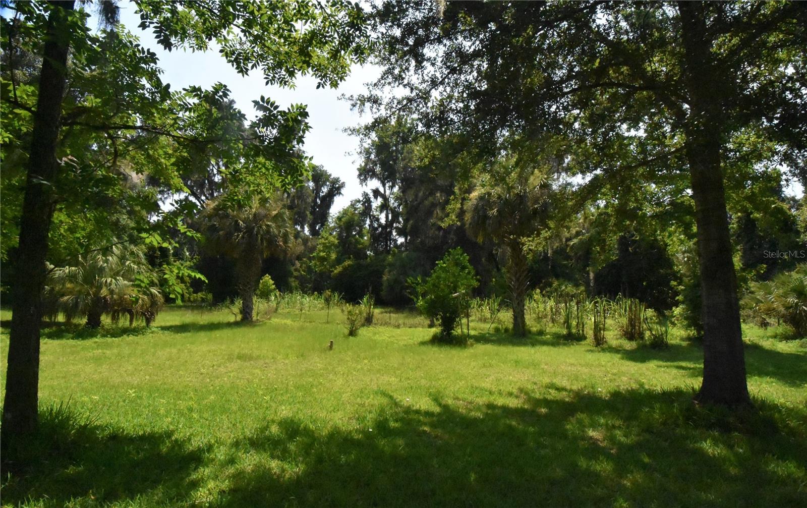 15208 SW WILLISTON RD, MICANOPY, FL — photo 26