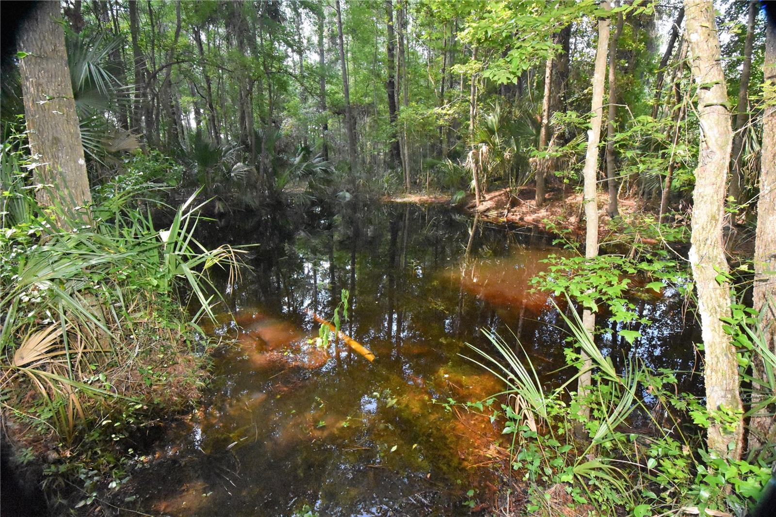15208 SW WILLISTON RD, MICANOPY, FL — photo 28