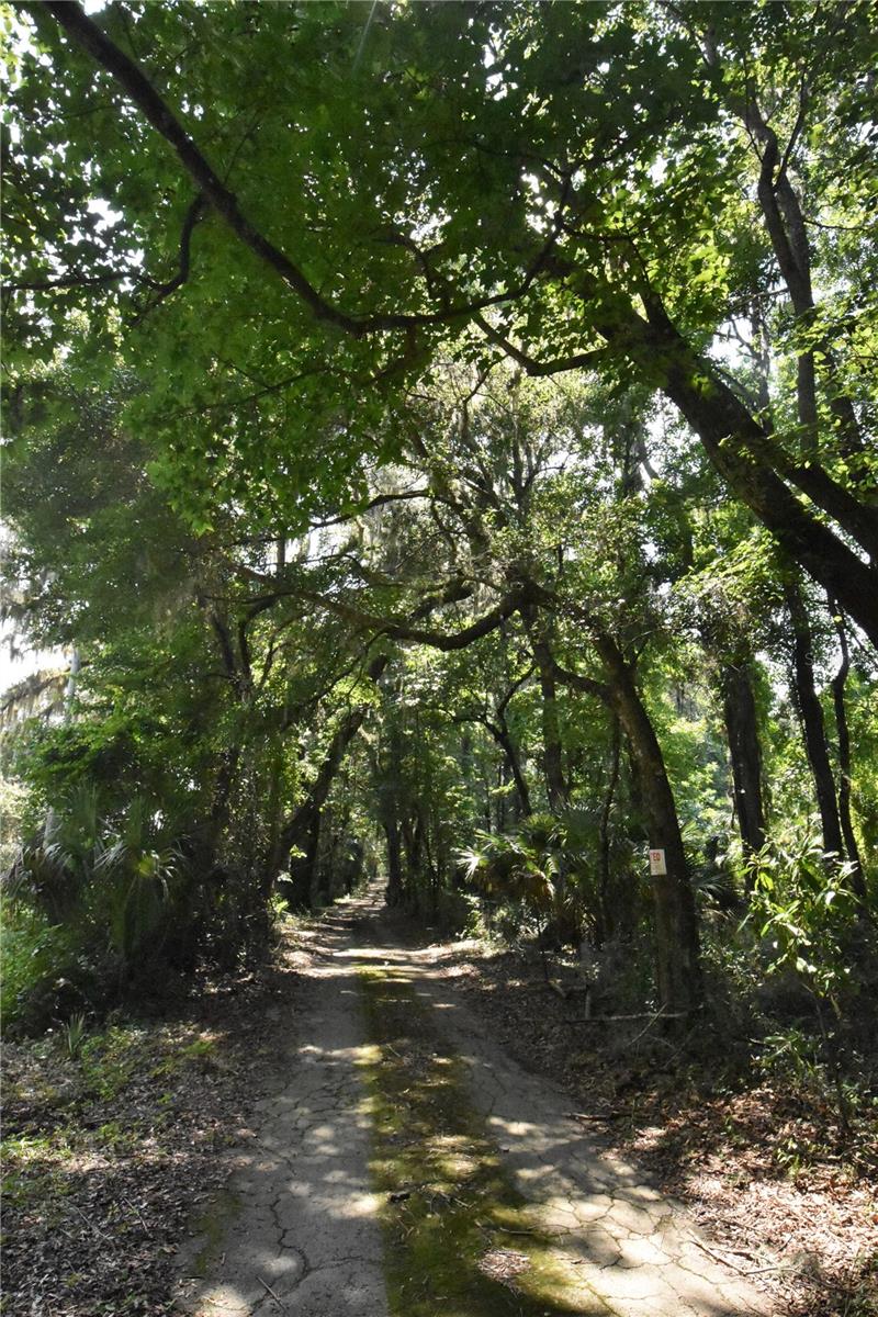 15208 SW WILLISTON RD, MICANOPY, FL — photo 31