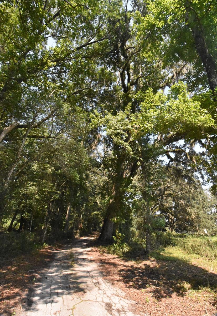 15208 SW WILLISTON RD, MICANOPY, FL — photo 34