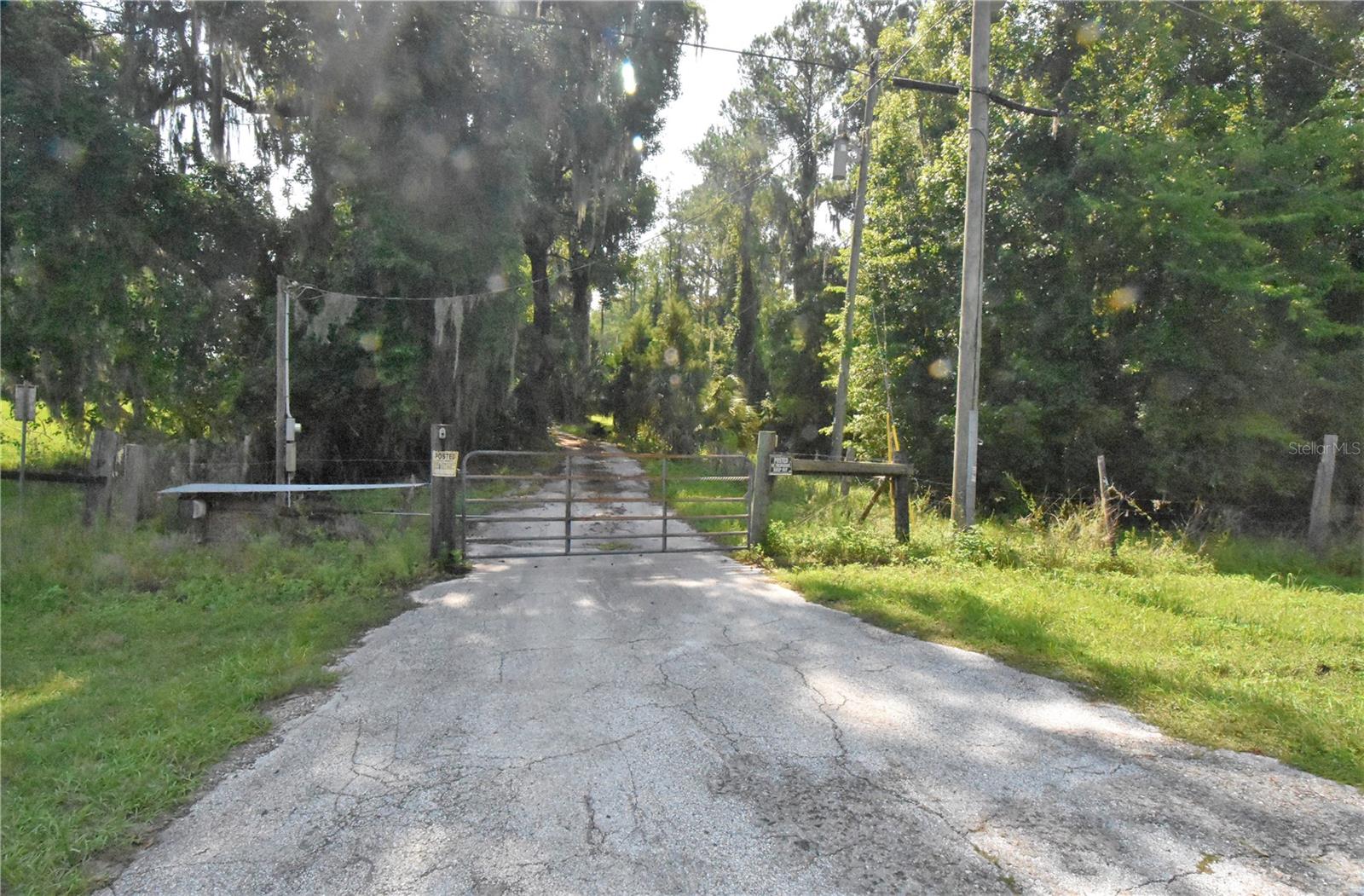 15208 SW WILLISTON RD, MICANOPY, FL — photo 42