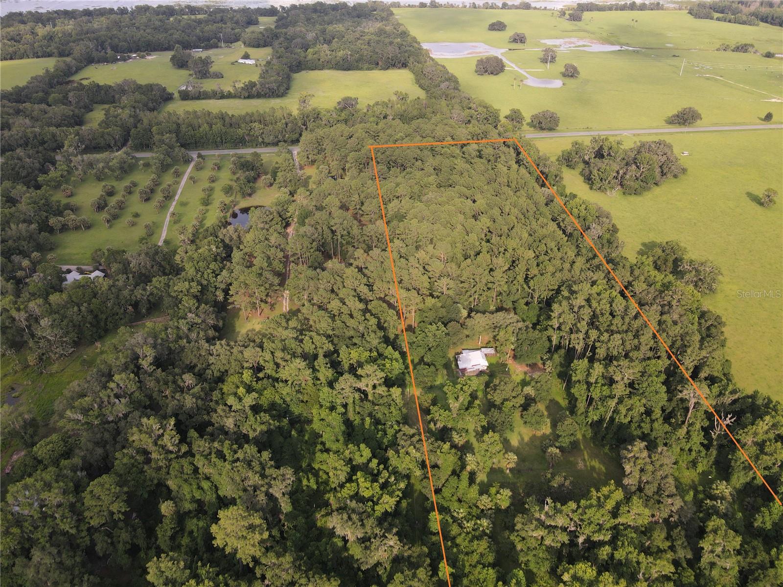 15208 SW WILLISTON RD, MICANOPY, FL — photo 2