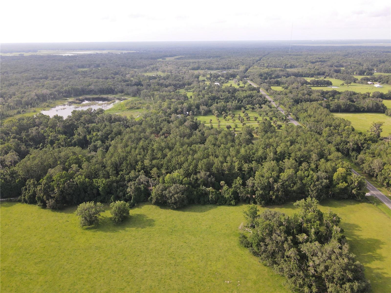 15208 SW WILLISTON RD, MICANOPY, FL — photo 3