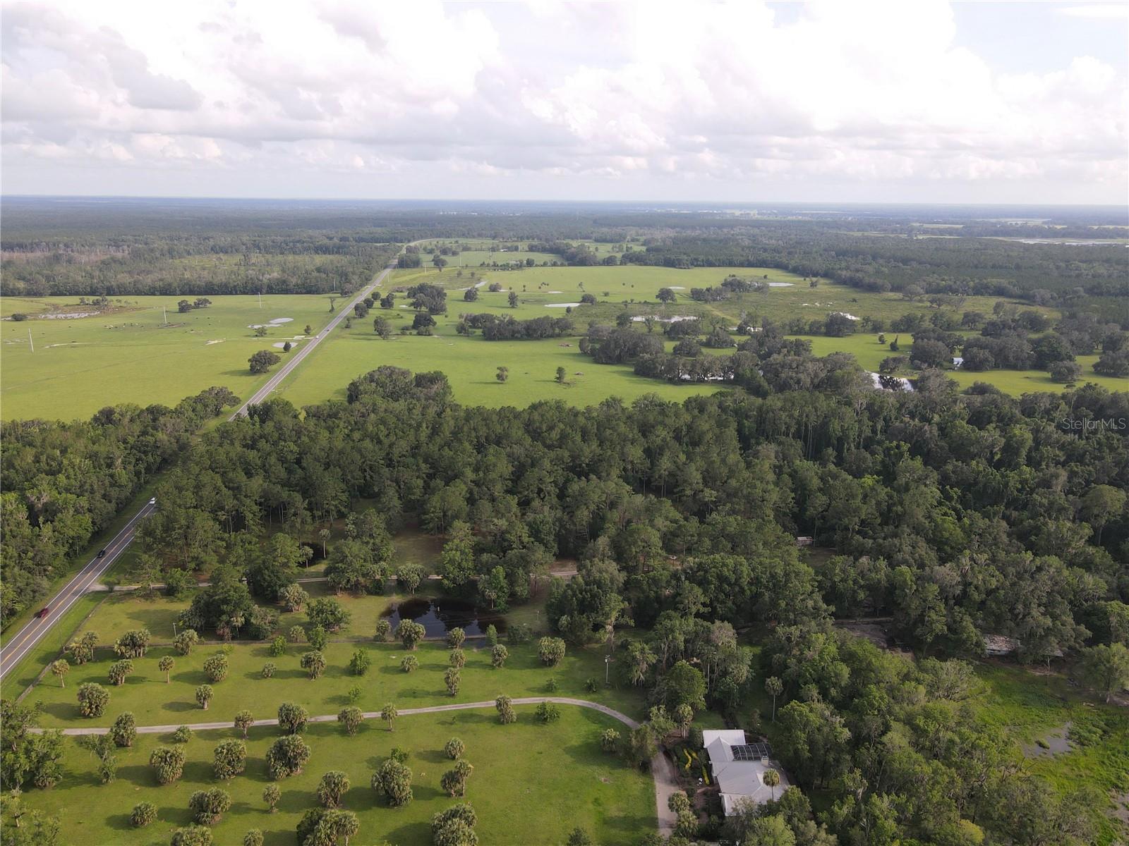 15208 SW WILLISTON RD, MICANOPY, FL — photo 9