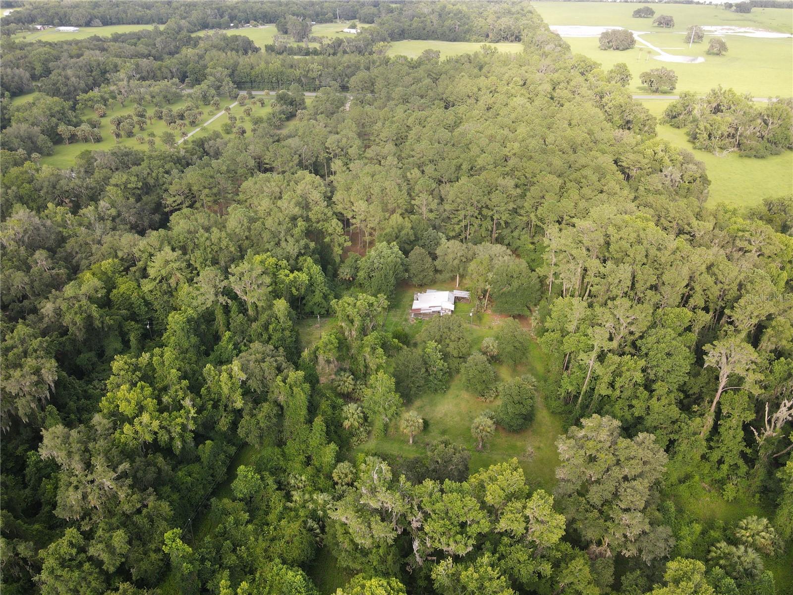 15208 SW WILLISTON RD, MICANOPY, FL — photo 13