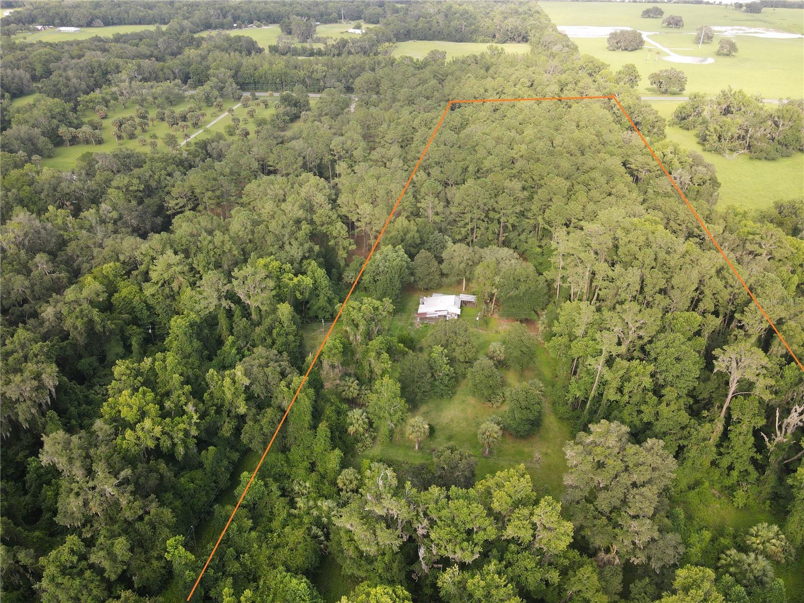 15208 SW WILLISTON RD, MICANOPY, FL — photo 14