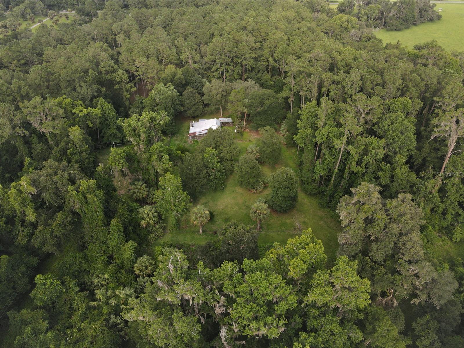 15208 SW WILLISTON RD, MICANOPY, FL — photo 15