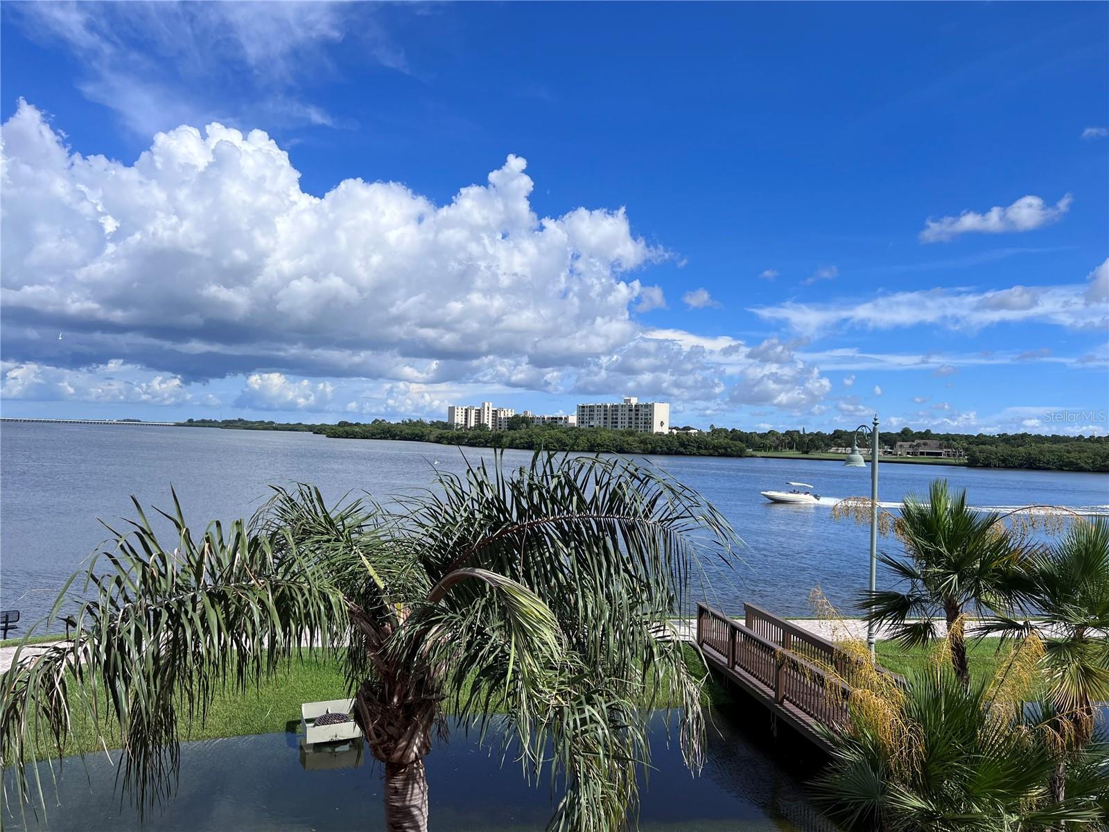 2755 VIA CAPRI DR #1226, CLEARWATER, FL — photo 10