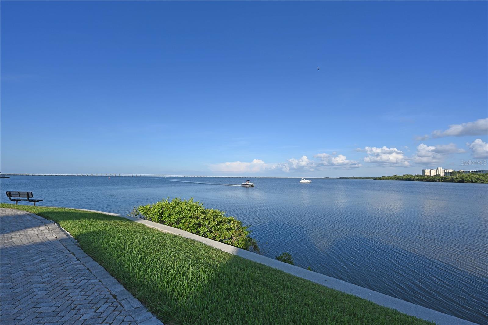 2755 VIA CAPRI DR #1226, CLEARWATER, FL — photo 37
