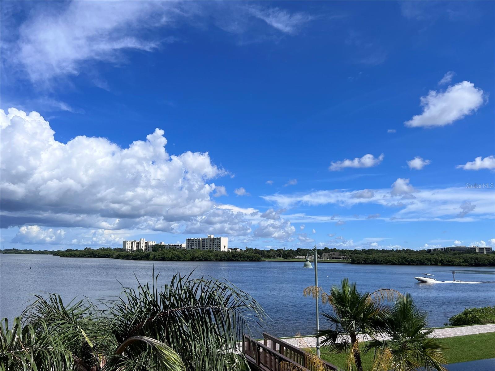 2755 VIA CAPRI DR #1226, CLEARWATER, FL — photo 9