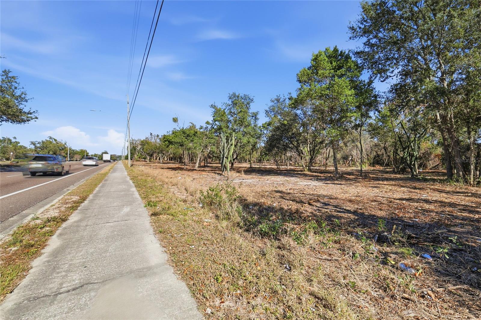 SUMMERALL AVE & SR 19, TAVARES, FL — photo 11
