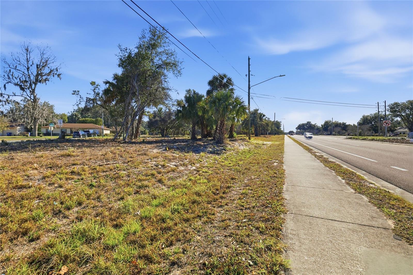 SUMMERALL AVE & SR 19, TAVARES, FL — photo 13