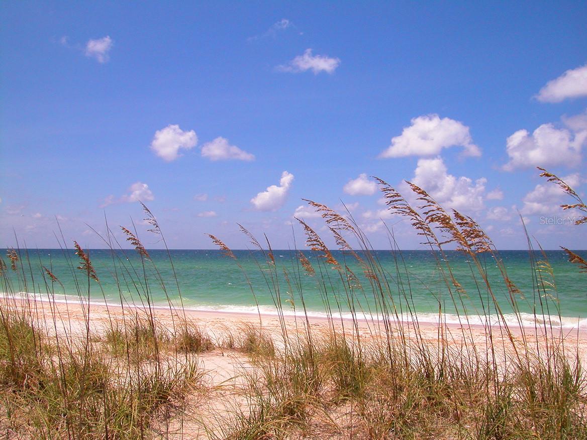 430 KUMQUAT CT #204, SARASOTA, FL — photo 10