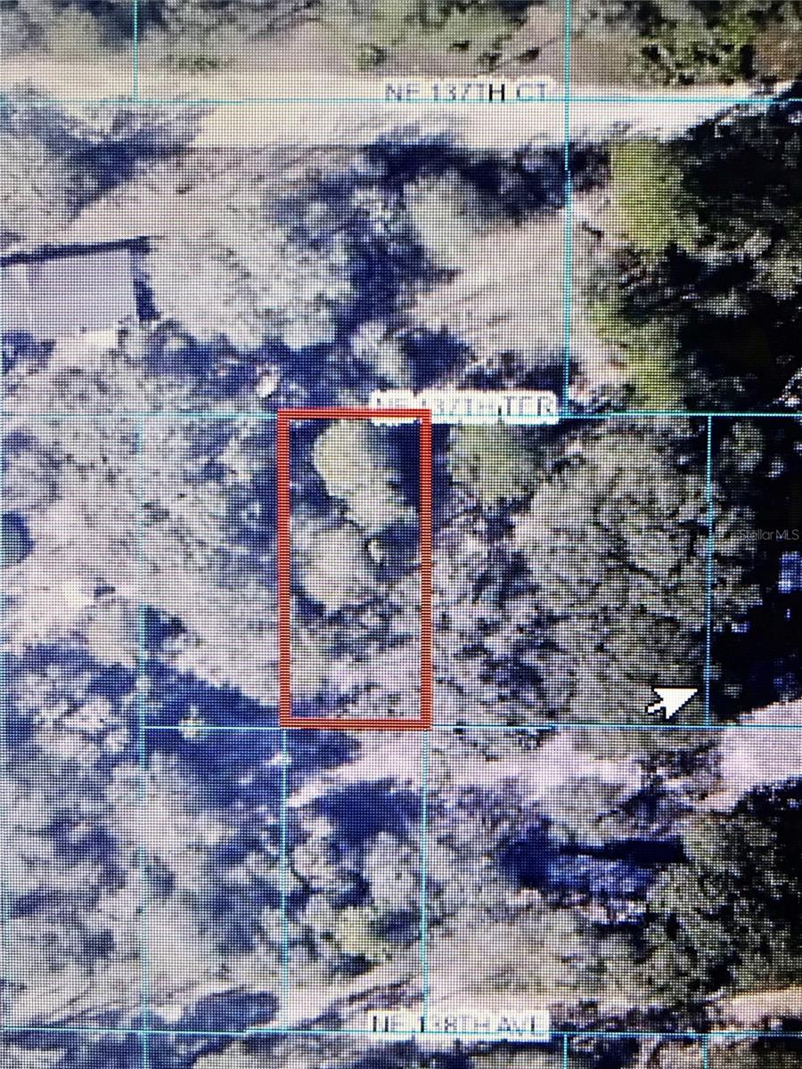 TBA NE 137TH TER, FORT MC COY, FL