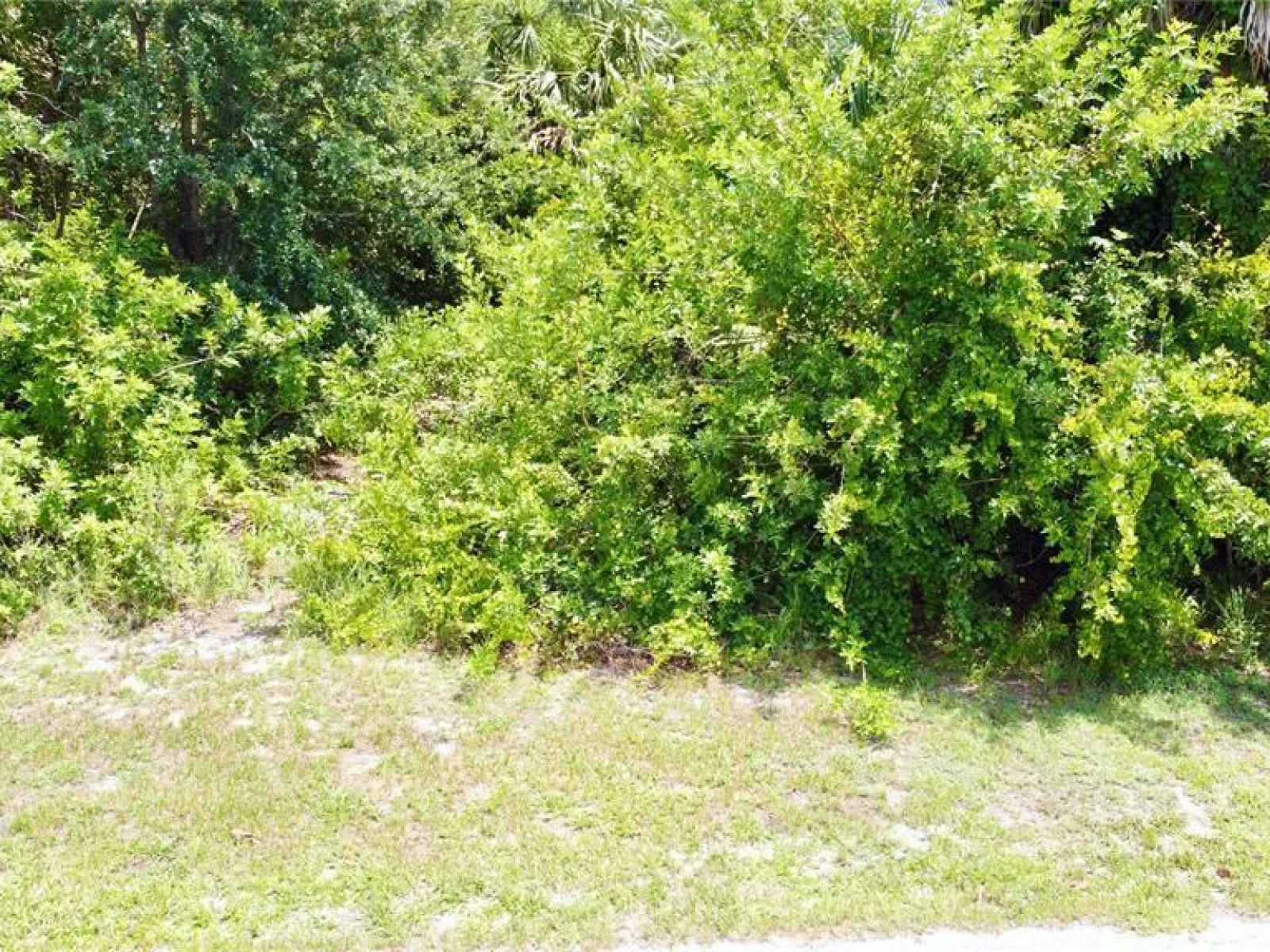 18311 VAN NUYS CIR, PORT CHARLOTTE, FL — photo 19