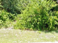 18311 VAN NUYS CIR — photo 19