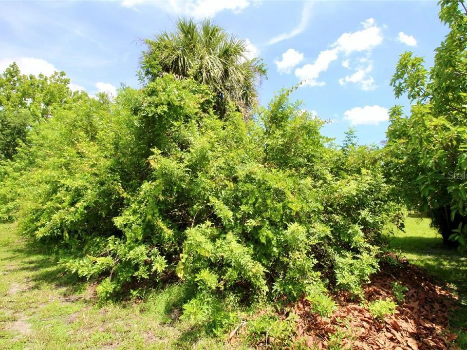 18311 VAN NUYS CIR, PORT CHARLOTTE, FL — photo 29