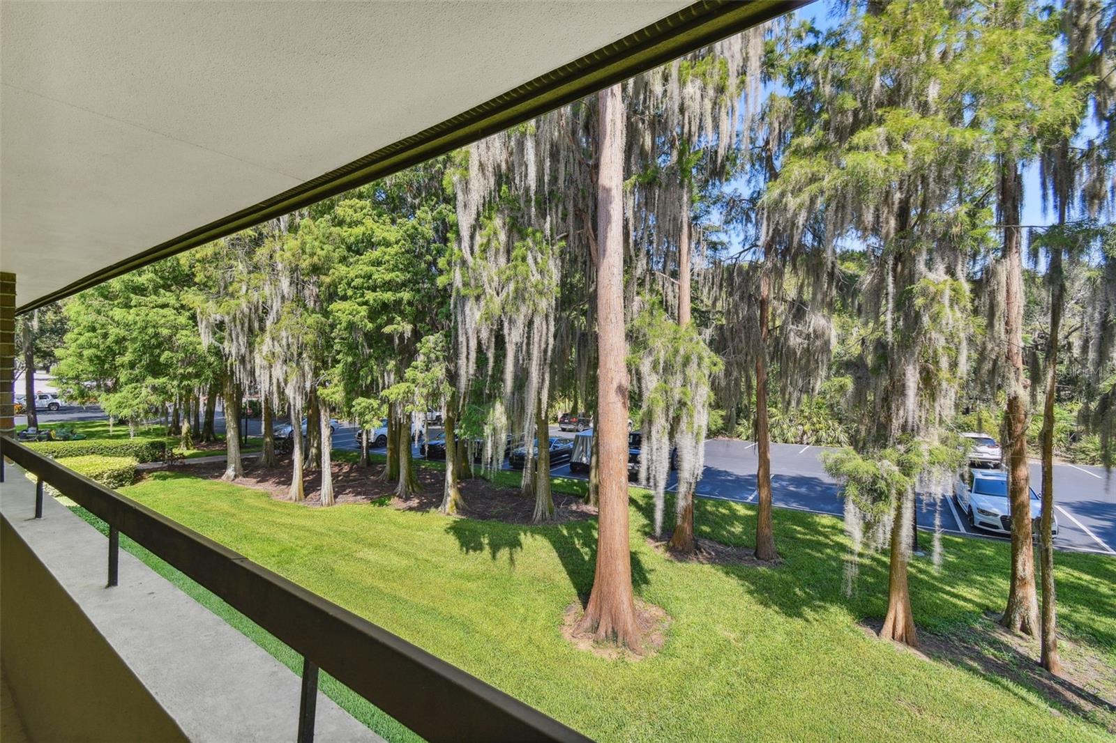 36750 US HIGHWAY 19 N #04239, PALM HARBOR, FL — photo 4