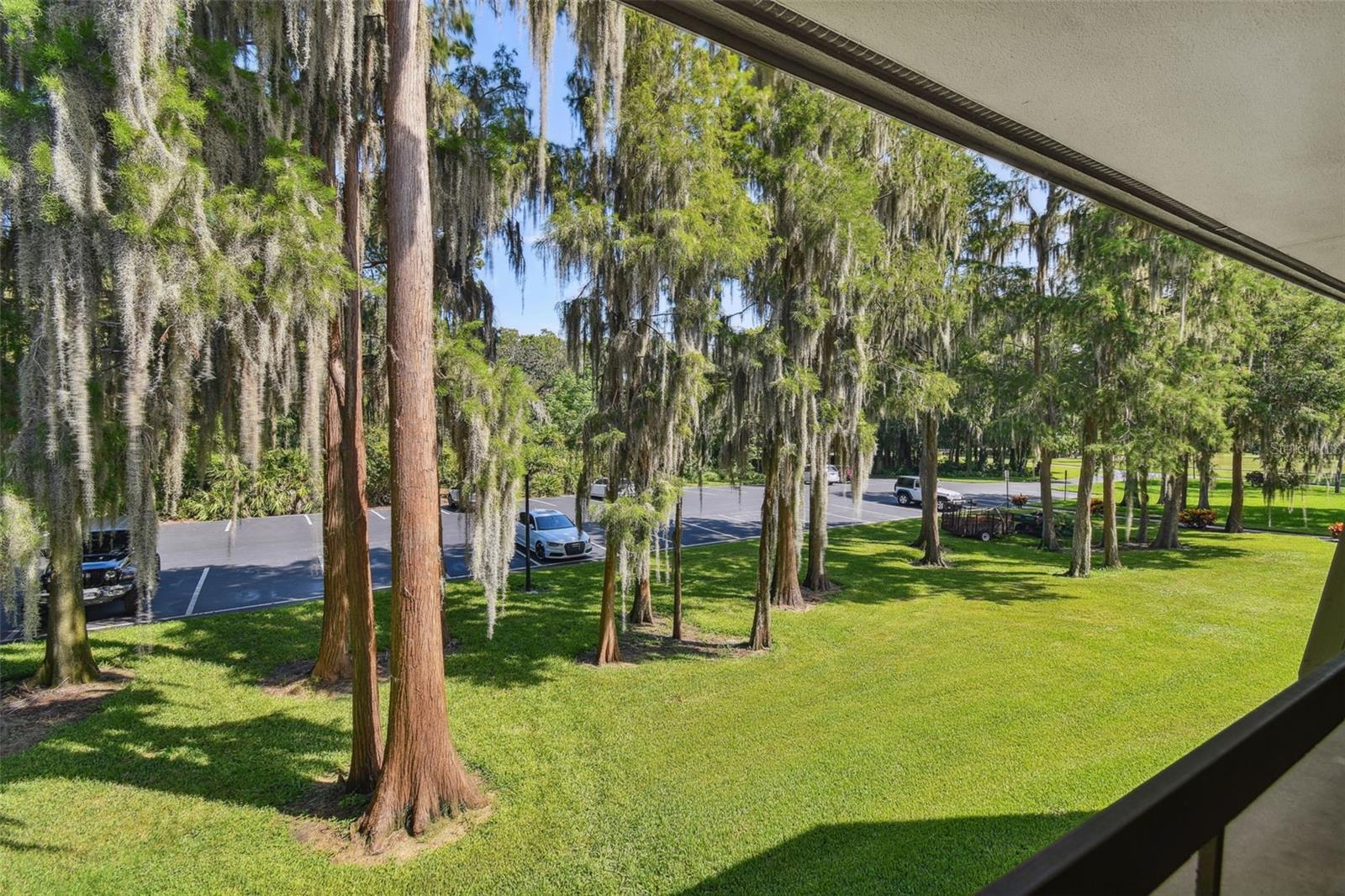 36750 US HIGHWAY 19 N #04239, PALM HARBOR, FL — photo 5