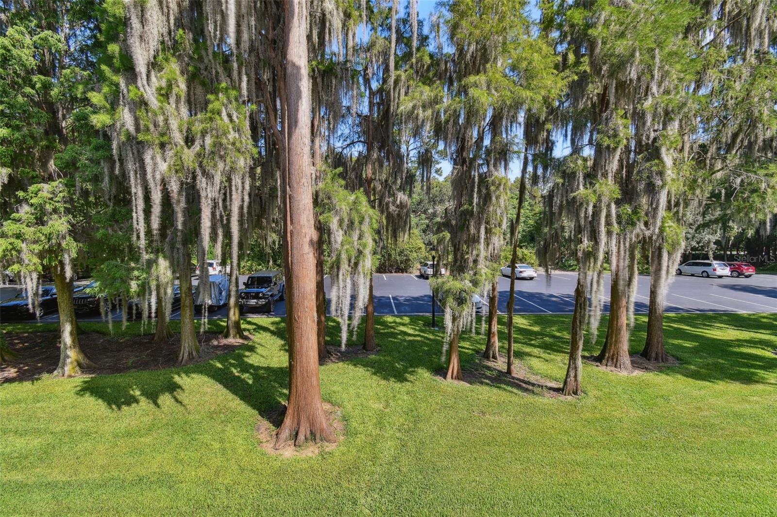 36750 US HIGHWAY 19 N #04239, PALM HARBOR, FL — photo 6