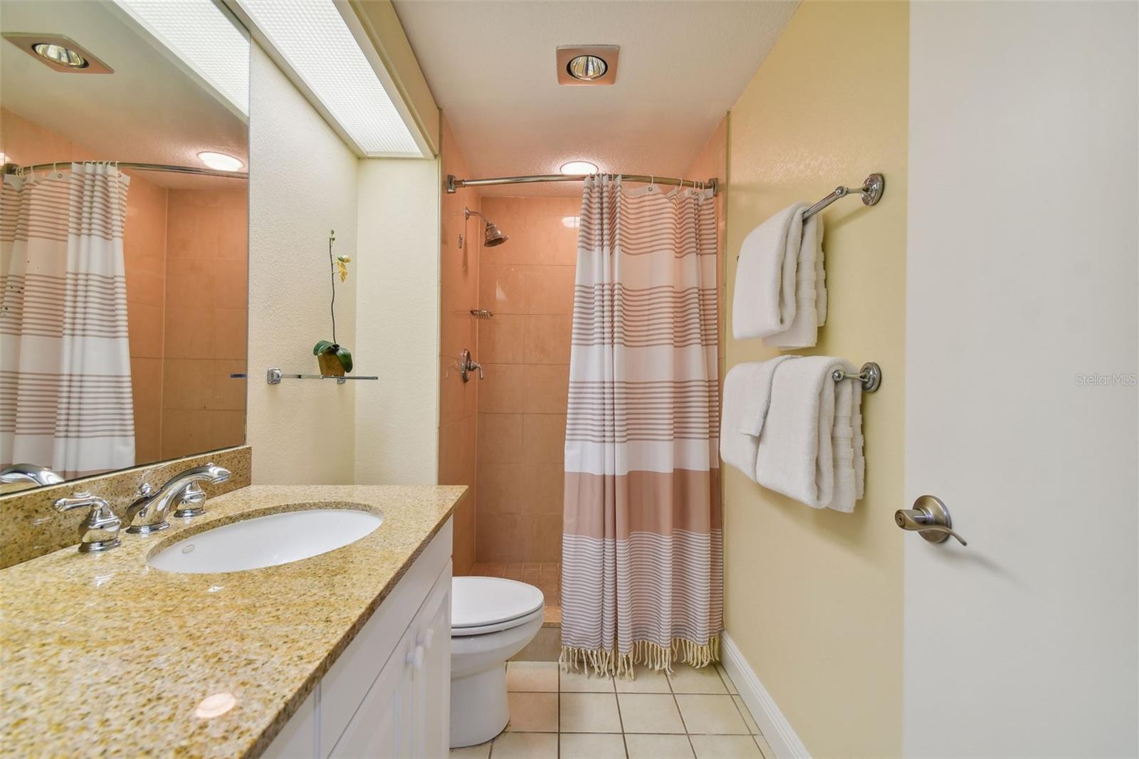 36750 US HIGHWAY 19 N #04239, PALM HARBOR, FL — photo 34