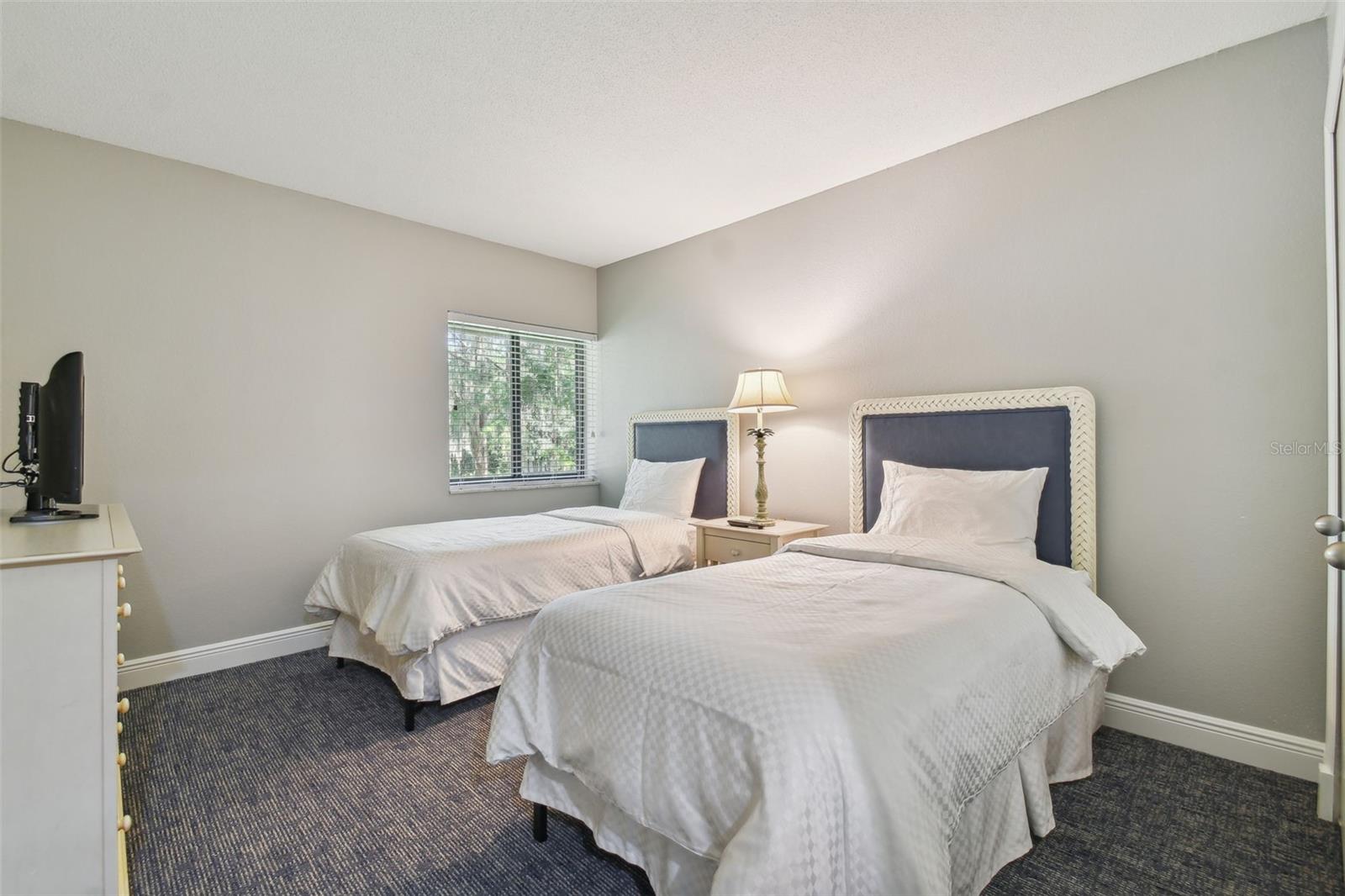 36750 US HIGHWAY 19 N #04239, PALM HARBOR, FL — photo 52