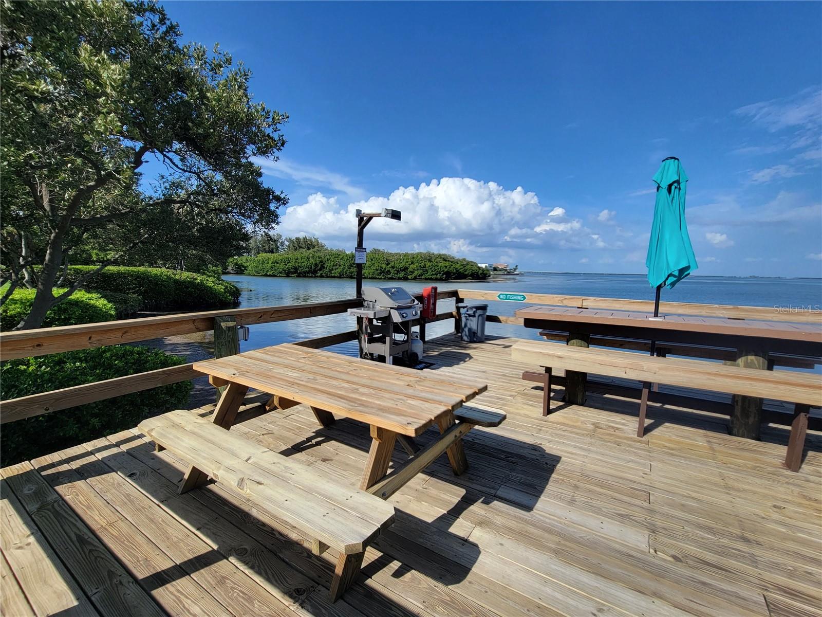1515 PINELLAS BAYWAY S #38, TIERRA VERDE, FL — photo 11