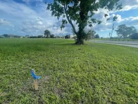 17230 CAPE HORN BLVD — photo 11