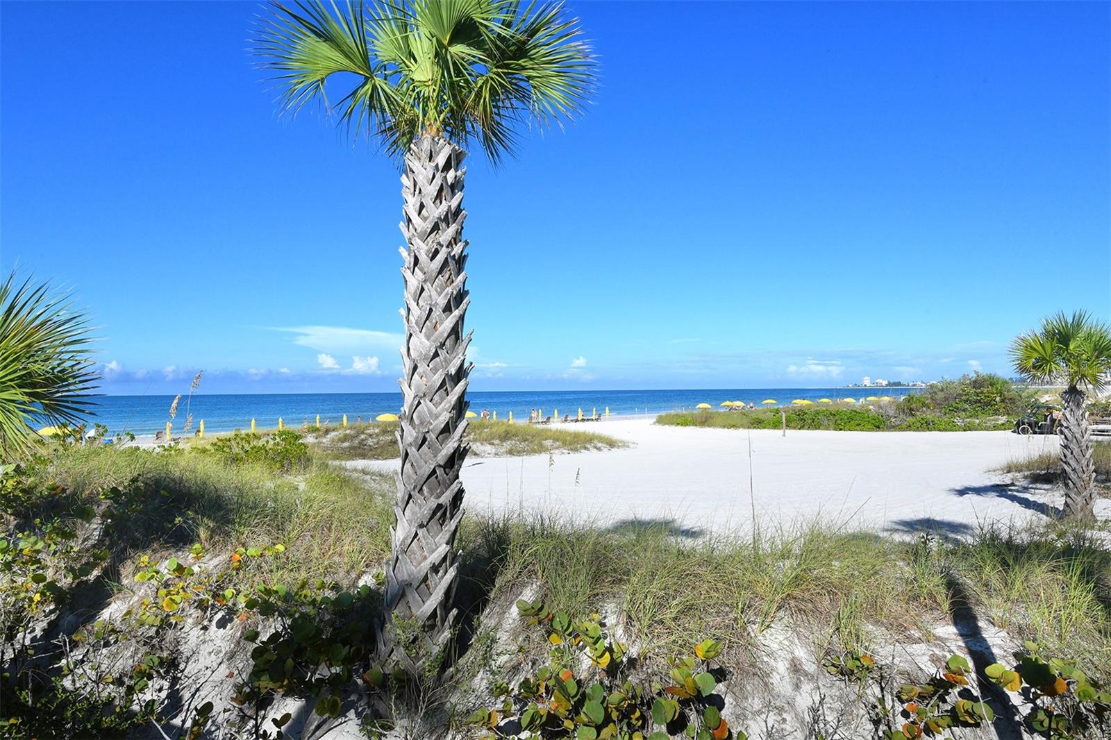 915 SEASIDE DR #312, Weeks 32-33, SARASOTA, FL — photo 48