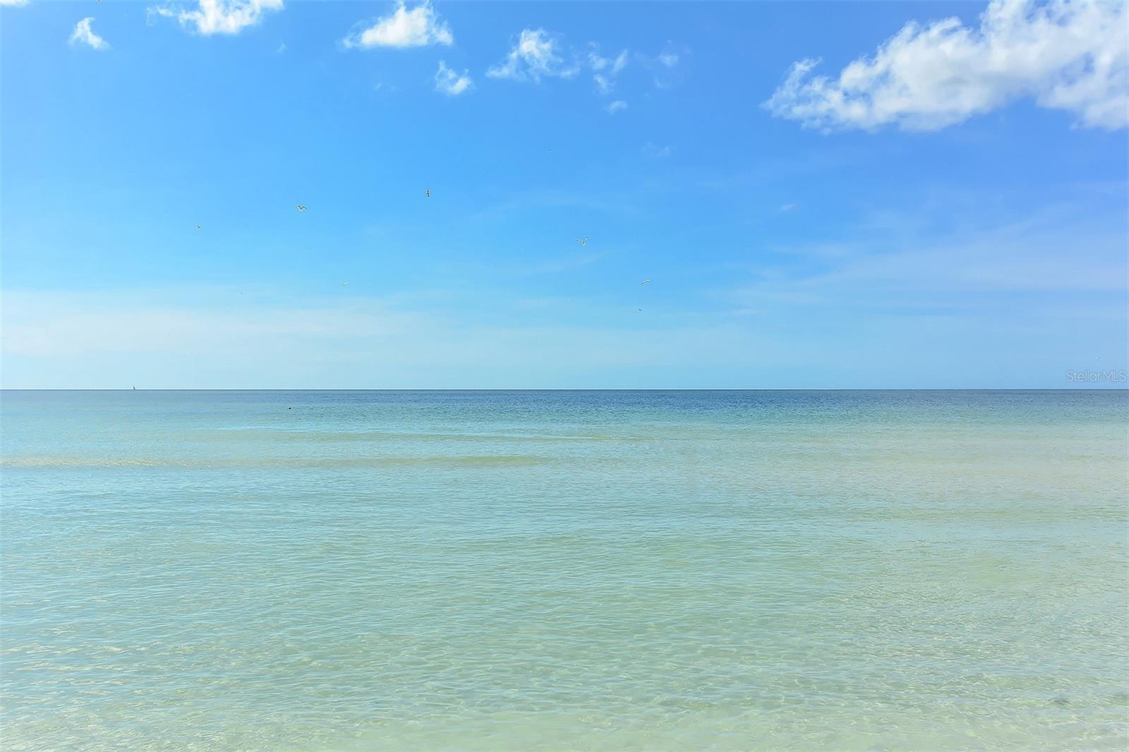 915 SEASIDE DR #312, Weeks 32-33, SARASOTA, FL — photo 56