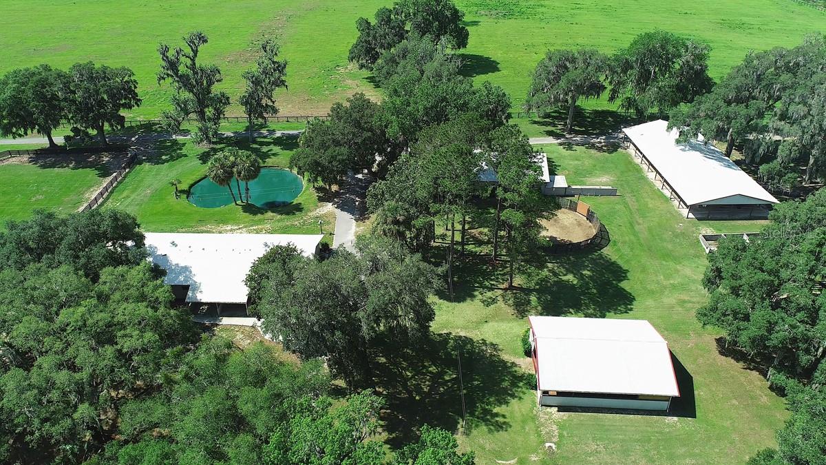13450 NW GAINESVILLE RD, REDDICK, FL — photo 33