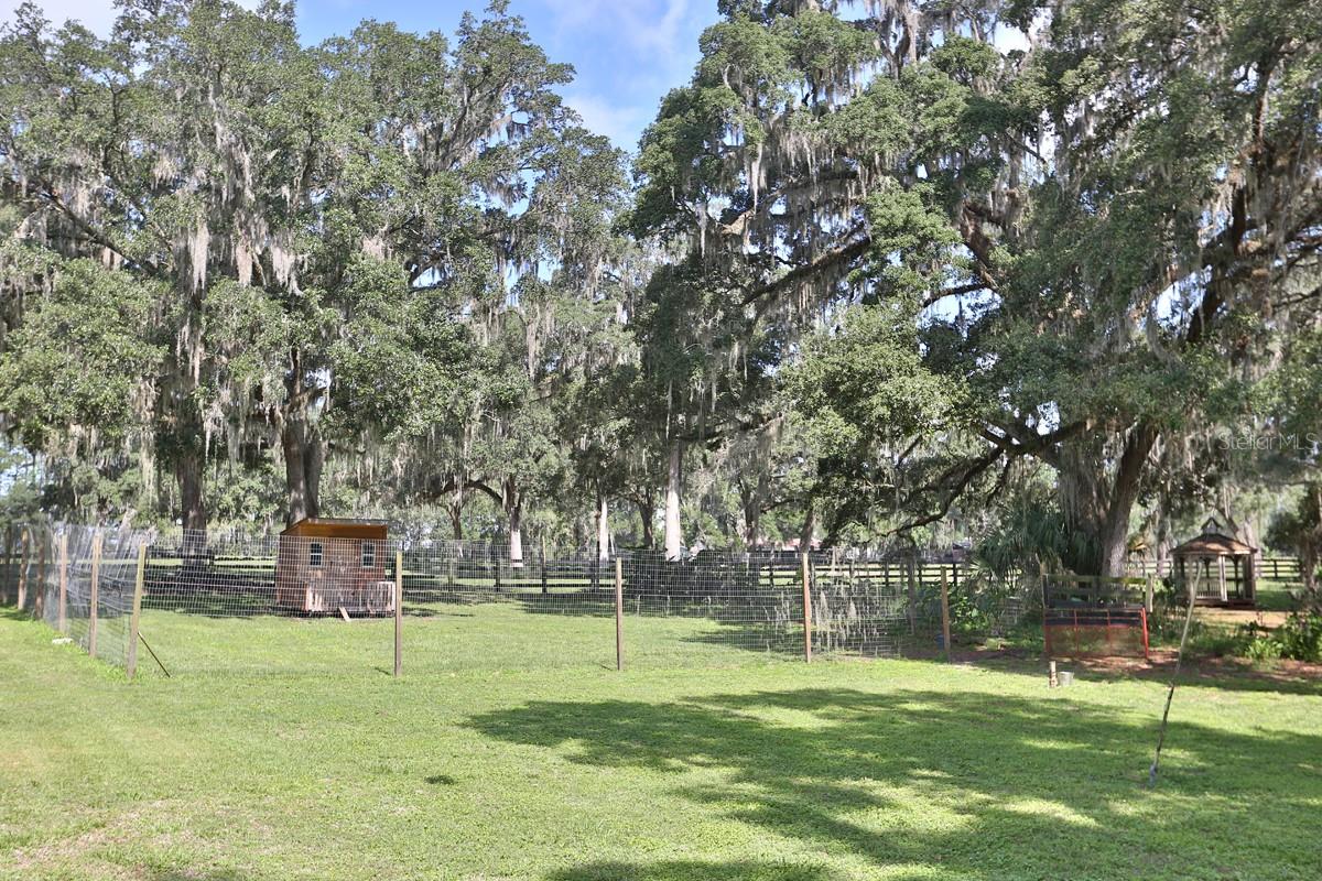 13450 NW GAINESVILLE RD, REDDICK, FL — photo 21