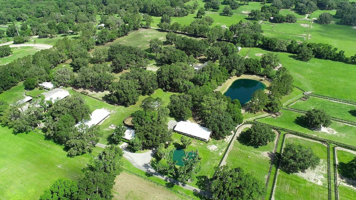 13450 NW GAINESVILLE RD, REDDICK, FL — photo 28