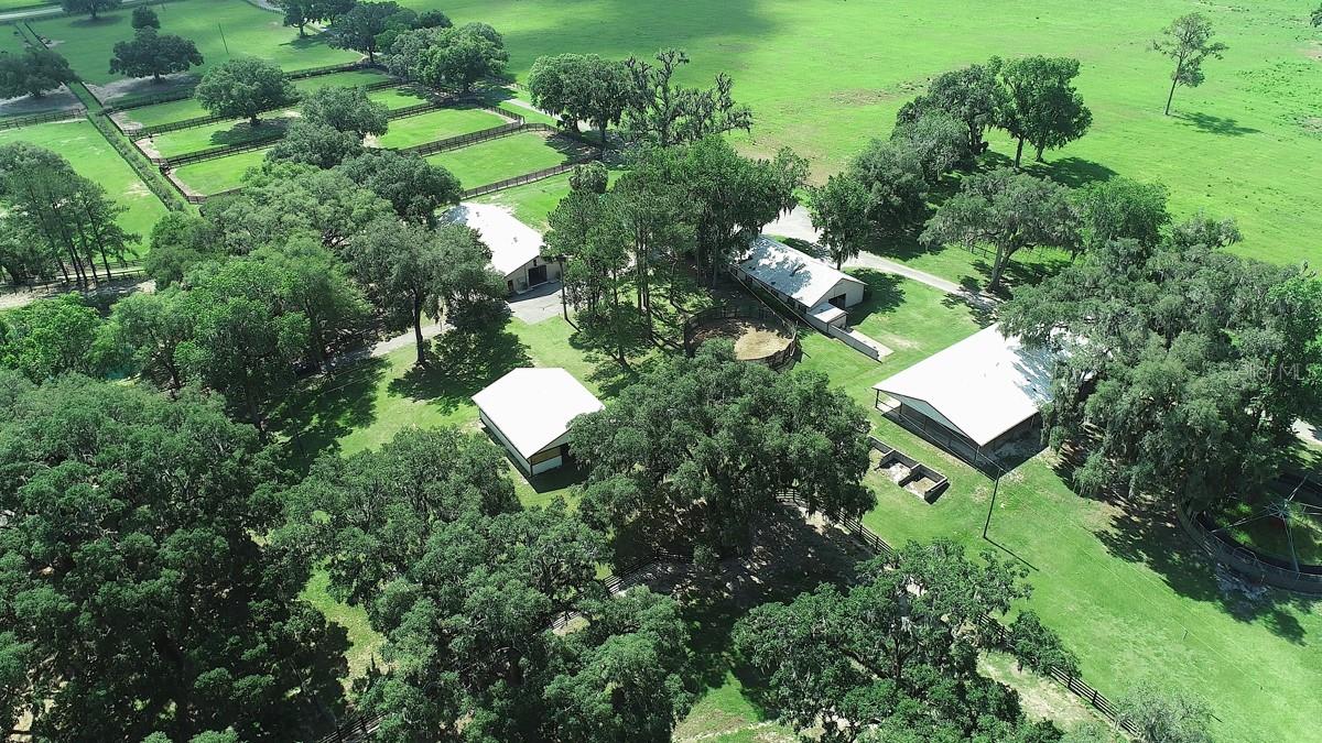 13450 NW GAINESVILLE RD, REDDICK, FL — photo 30