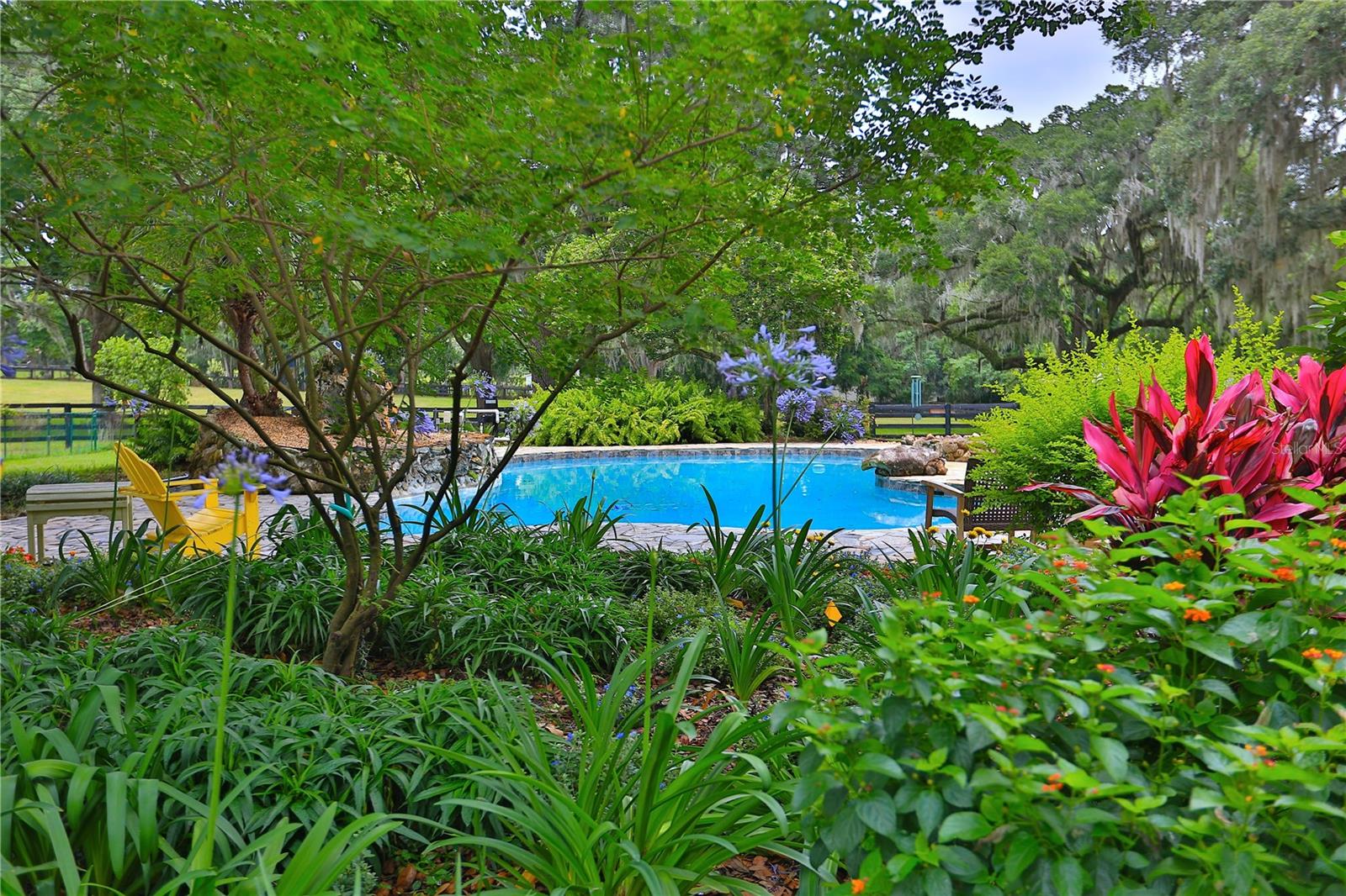 13450 NW GAINESVILLE RD, REDDICK, FL — photo 80