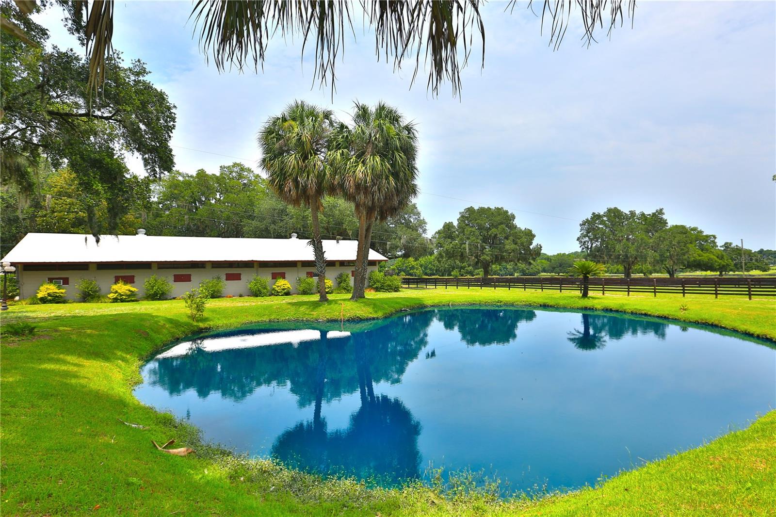 13450 NW GAINESVILLE RD, REDDICK, FL — photo 82