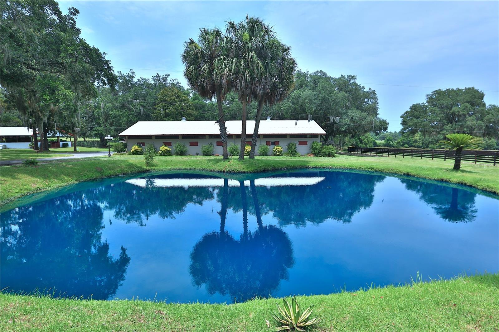 13450 NW GAINESVILLE RD, REDDICK, FL — photo 2