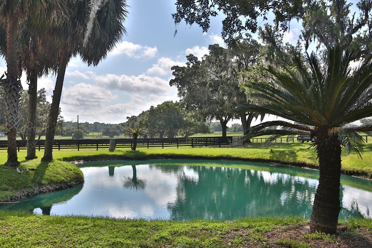 13450 NW GAINESVILLE RD, REDDICK, FL — photo 7
