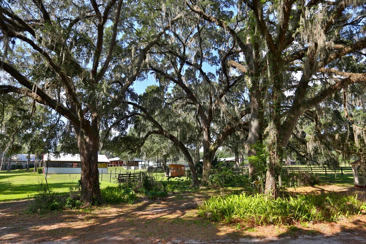 13450 NW GAINESVILLE RD, REDDICK, FL — photo 8