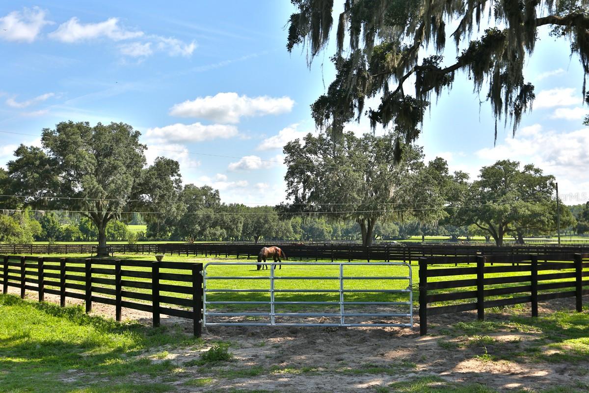 13450 NW GAINESVILLE RD, REDDICK, FL — photo 22