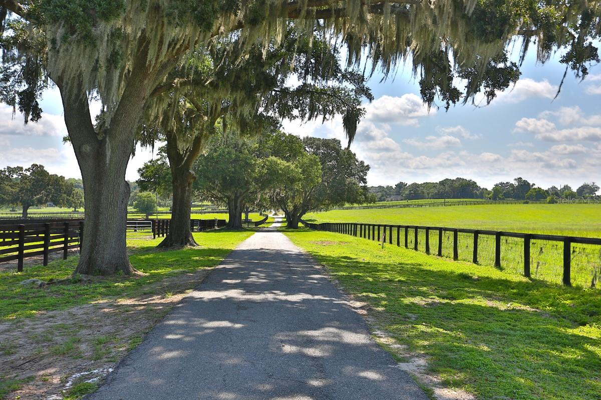 13450 NW GAINESVILLE RD, REDDICK, FL — photo 24