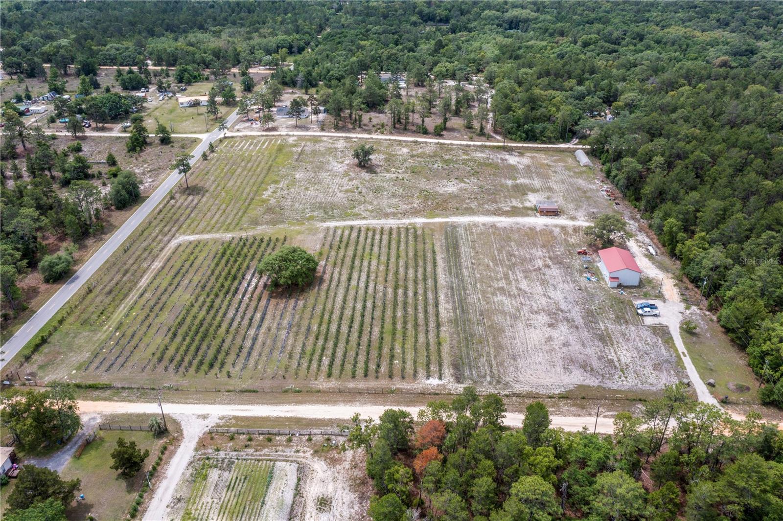 130 STRAWBERRY LN, POMONA PARK, FL — photo 3