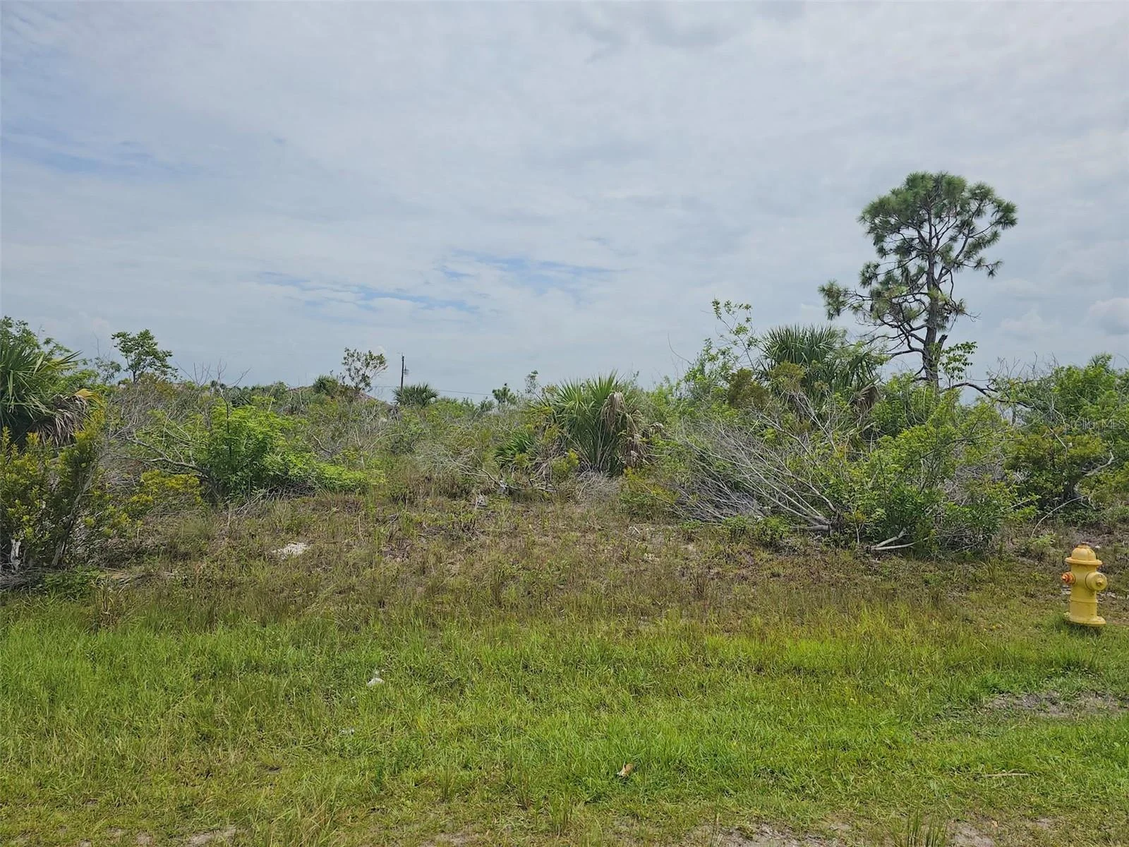 15093 ACORN CIR, PORT CHARLOTTE, FL — photo 2