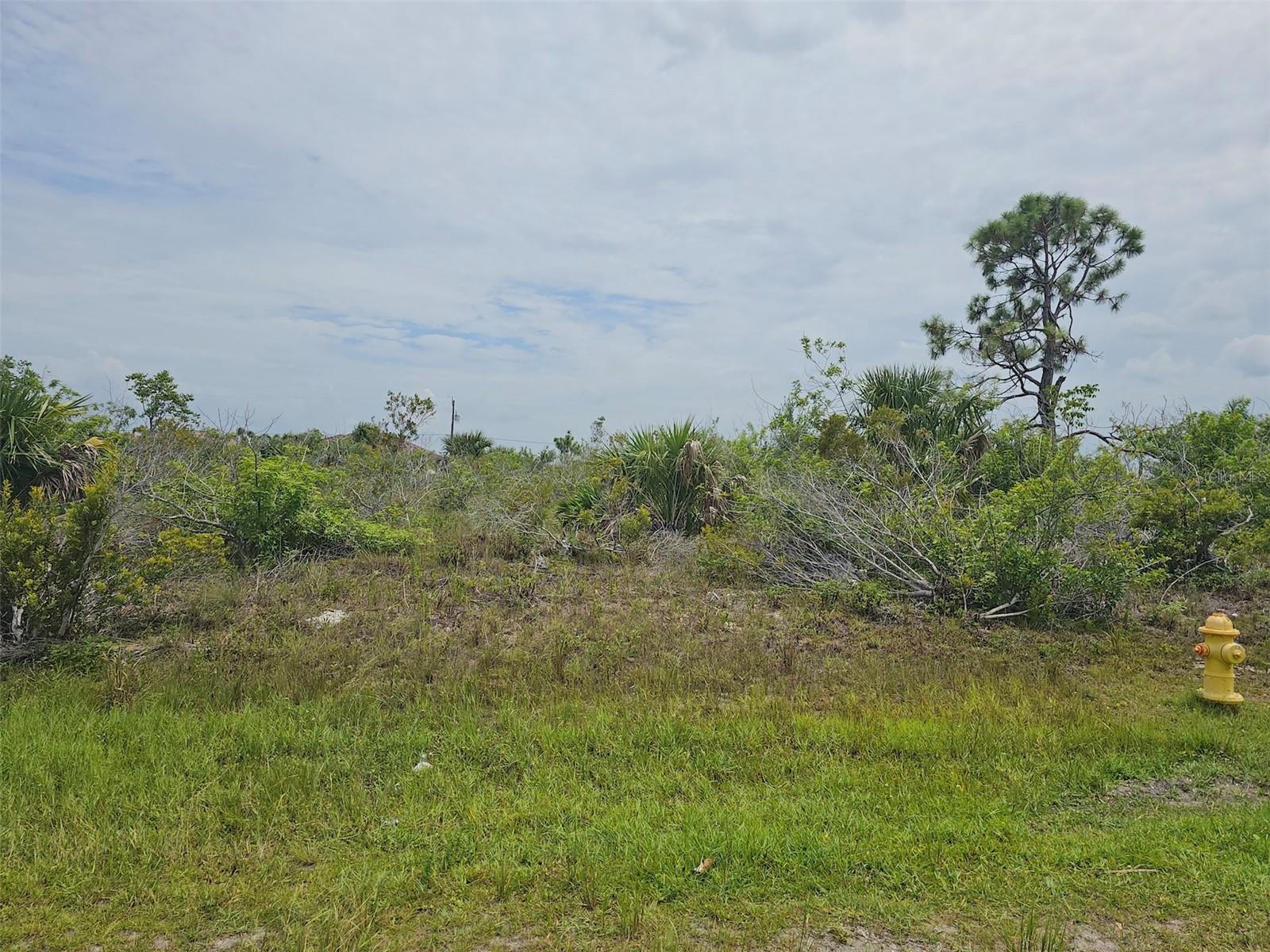 15093 ACORN CIR, PORT CHARLOTTE, FL — photo 11