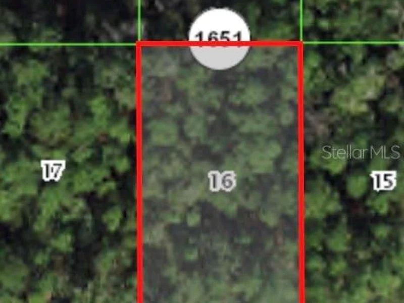 225 E ENFIELD LN, CITRUS SPRINGS, FL