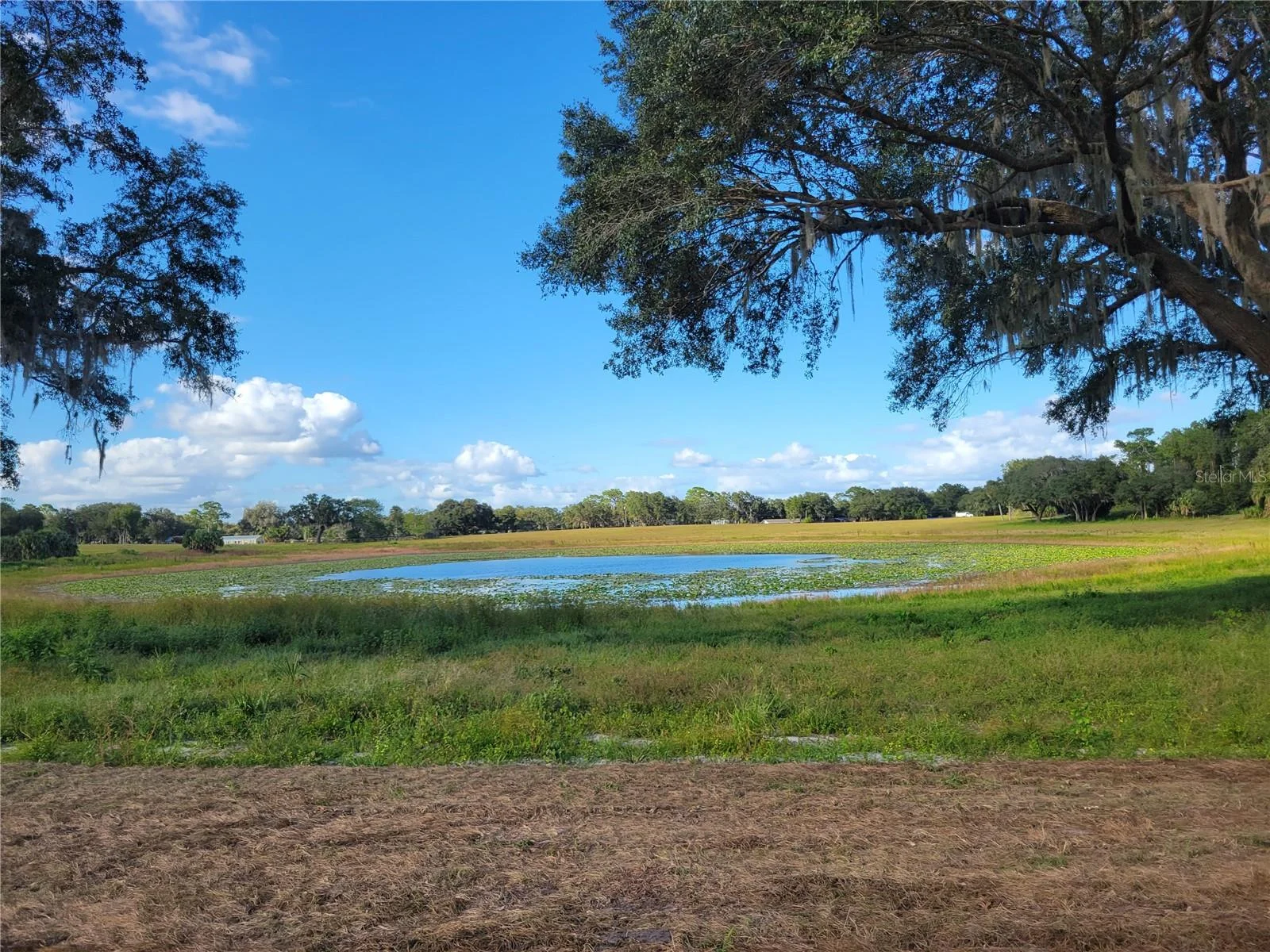 SE 74TH LANE RD #8-WEST, OCKLAWAHA, FL — photo 11