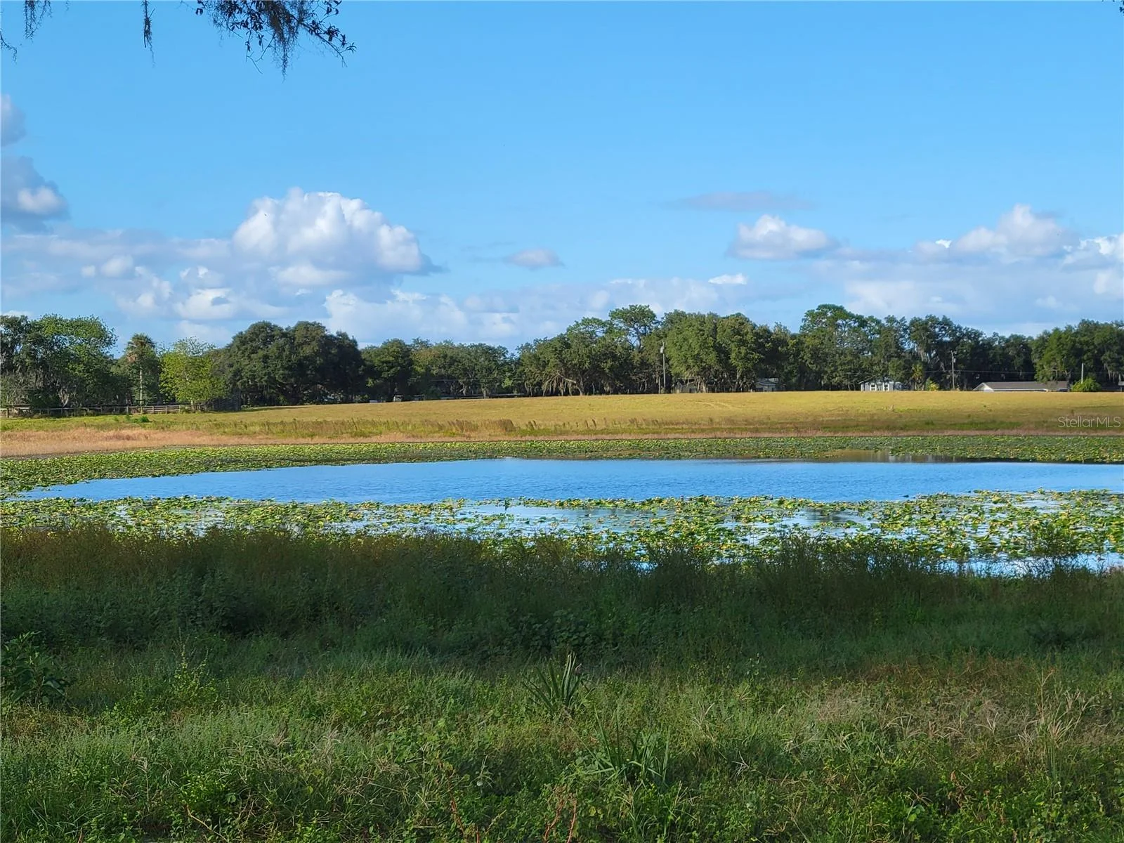 SE 74TH LANE RD #8-WEST, OCKLAWAHA, FL — photo 12