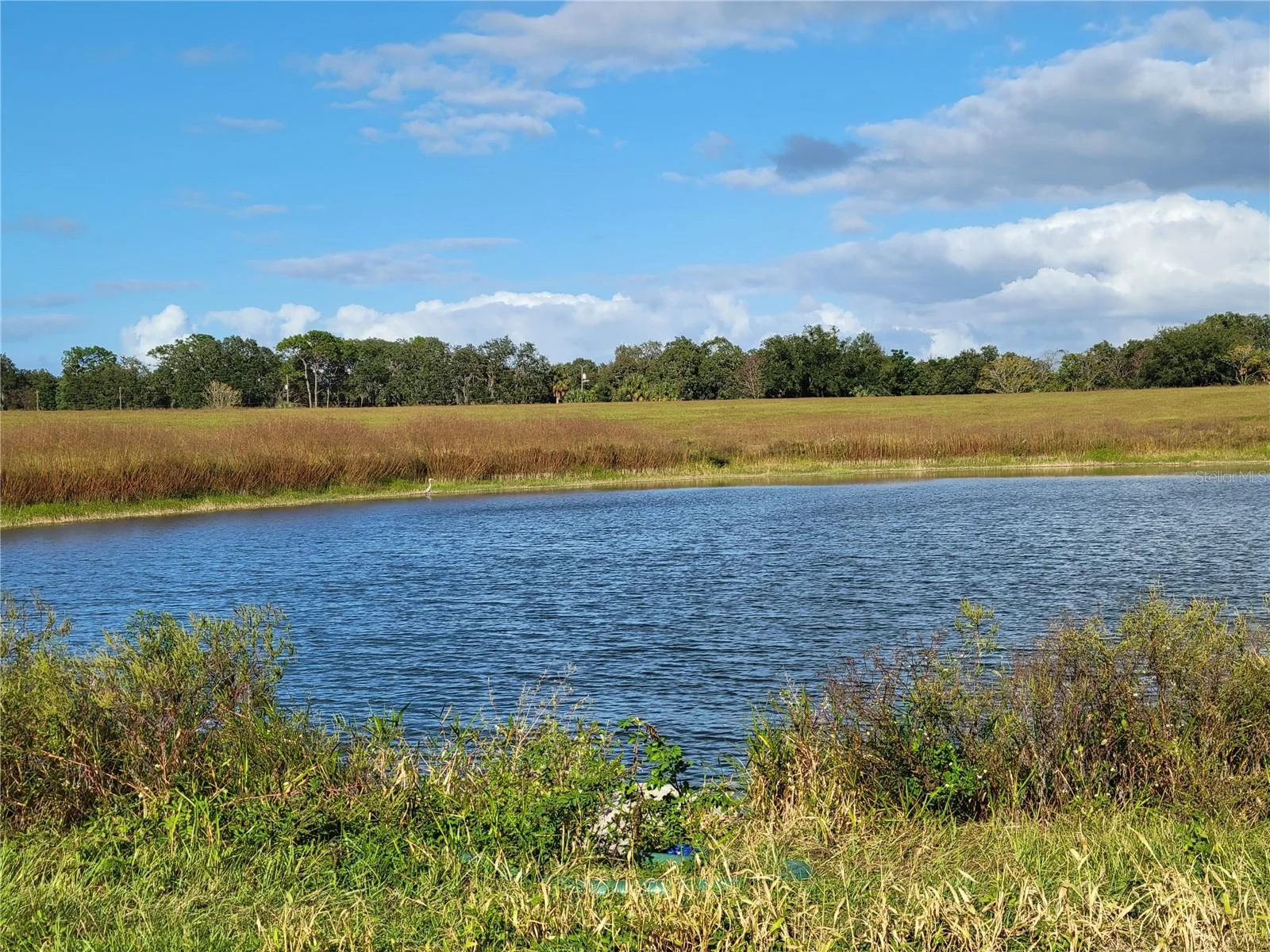 SE 74TH LANE RD #8-WEST, OCKLAWAHA, FL — photo 14