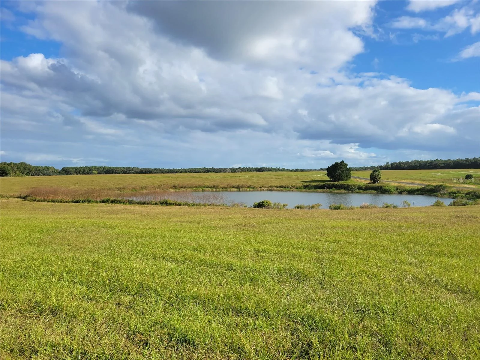 SE 74TH LANE RD #8-WEST, OCKLAWAHA, FL — photo 15