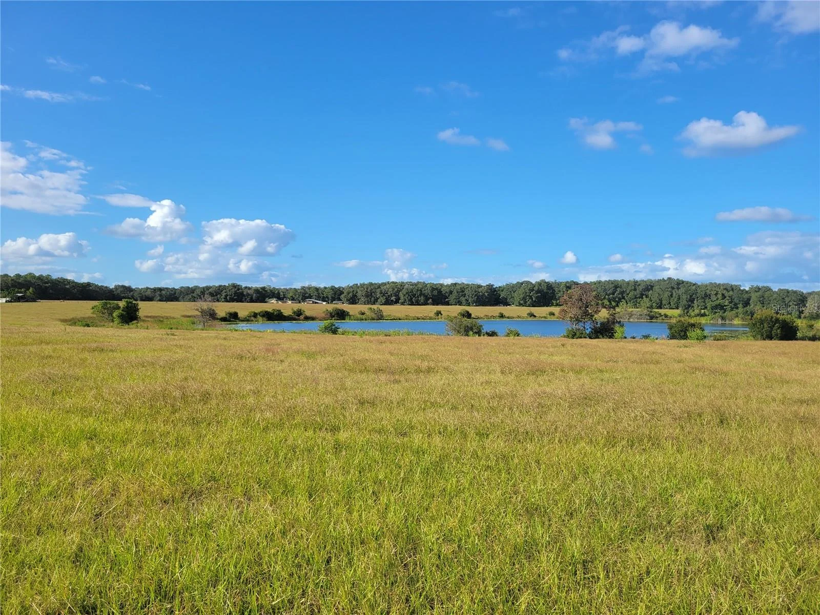 SE 74TH LANE RD #8-WEST, OCKLAWAHA, FL — photo 16